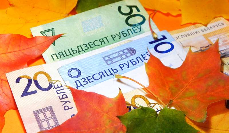 Белорусский рубль подорожает к доллару до максимума за год