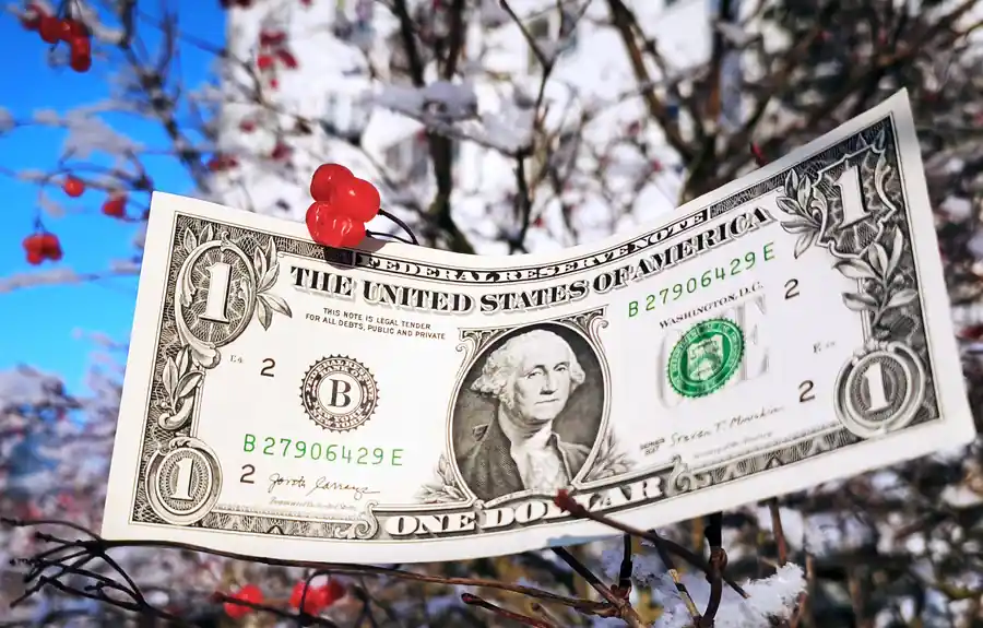 Доллар упал до минимума за 22 дня 20 января 2026