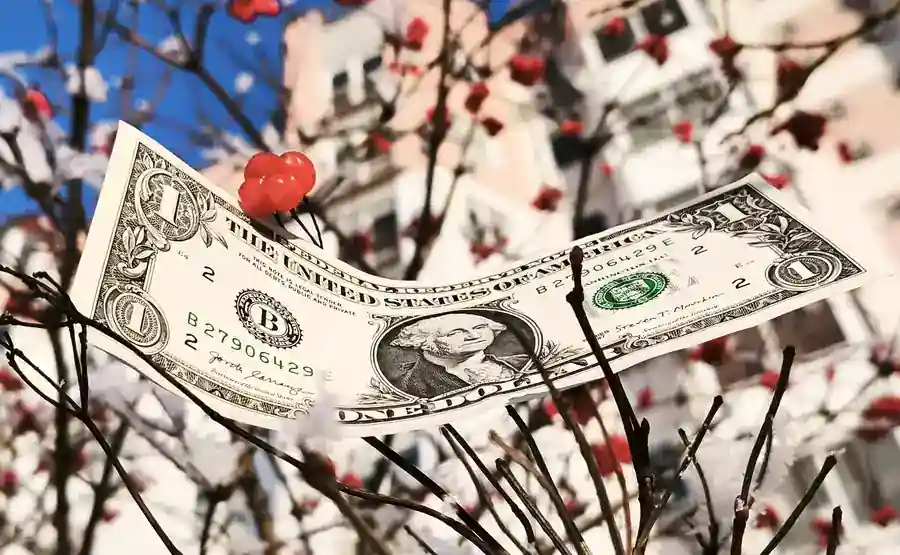 Доллар рухнул до минимума за 995 дней 30 января 2026